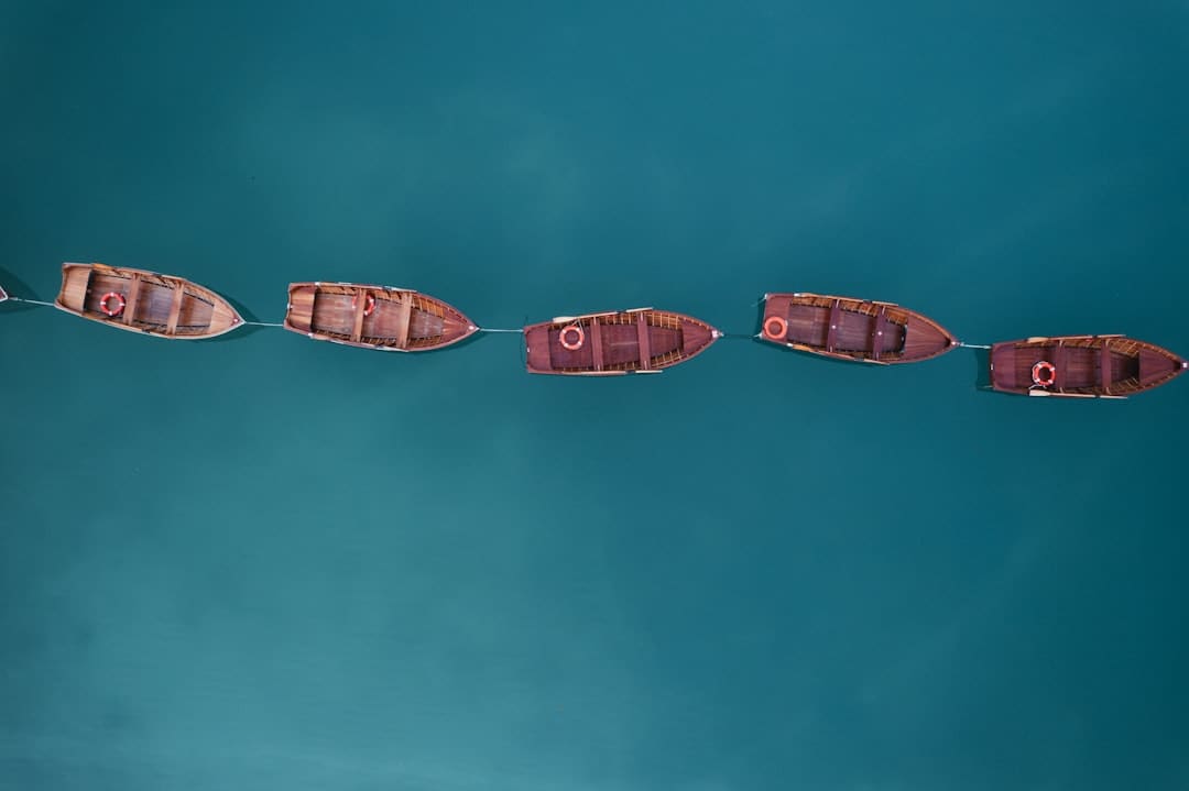 漳浦:告别排长龙 “潮汐窗口”高效灵活